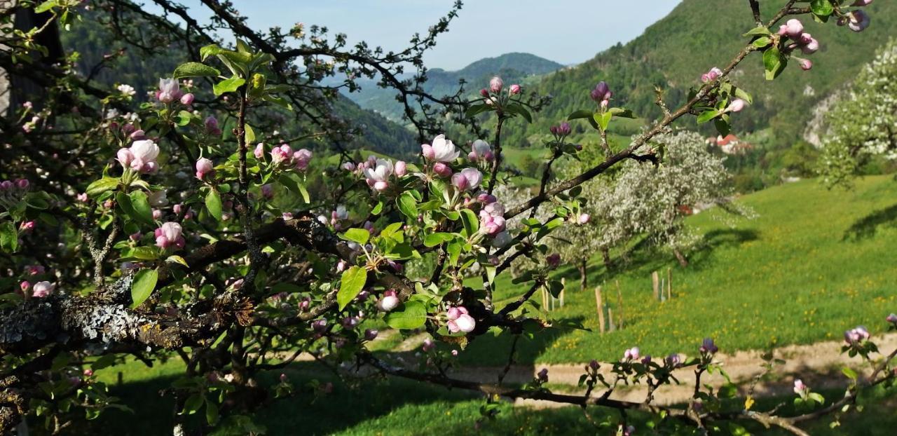 Kmetija Na Cendavs Cerkno Exterior foto