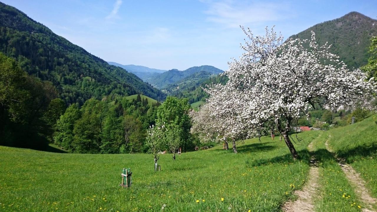 Kmetija Na Cendavs Cerkno Exterior foto